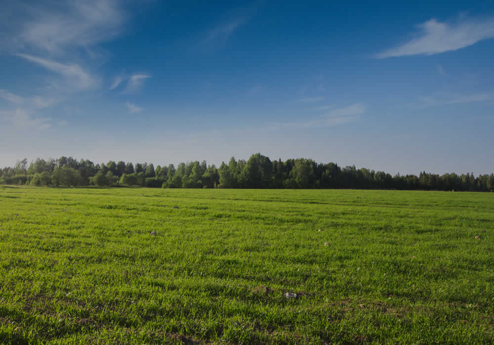 Dollar Ridge Estates Green Bay