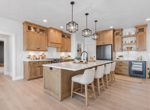 Detrie Builders - Dollar Rd 2. Kitchen