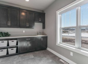 detriebuildersgreenbay_10._terra_view