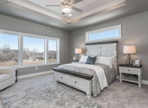 detriebuildersgreenbay_11._terra_view