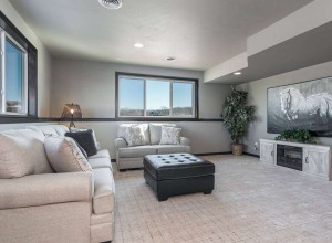 detriebuildersgreenbay_13._terra_view