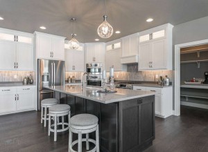 detriebuildersgreenbay_4._terra_view
