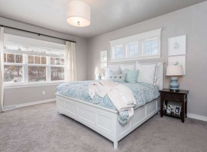 detriebuildersgreenbay_three_penny15